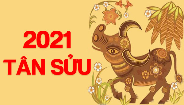 tan-suu-2021-va-nhung-dieu-can-biet